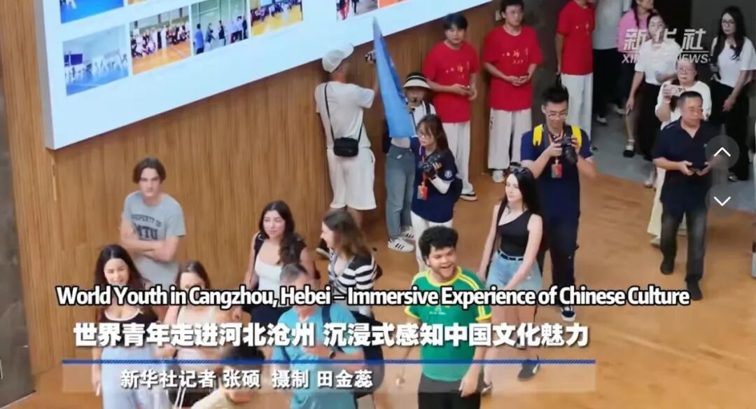 沧州TikTok账号相关网帖截图 图片