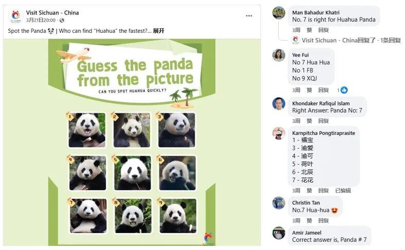 “认熊猫”互动帖及网友回复 图片