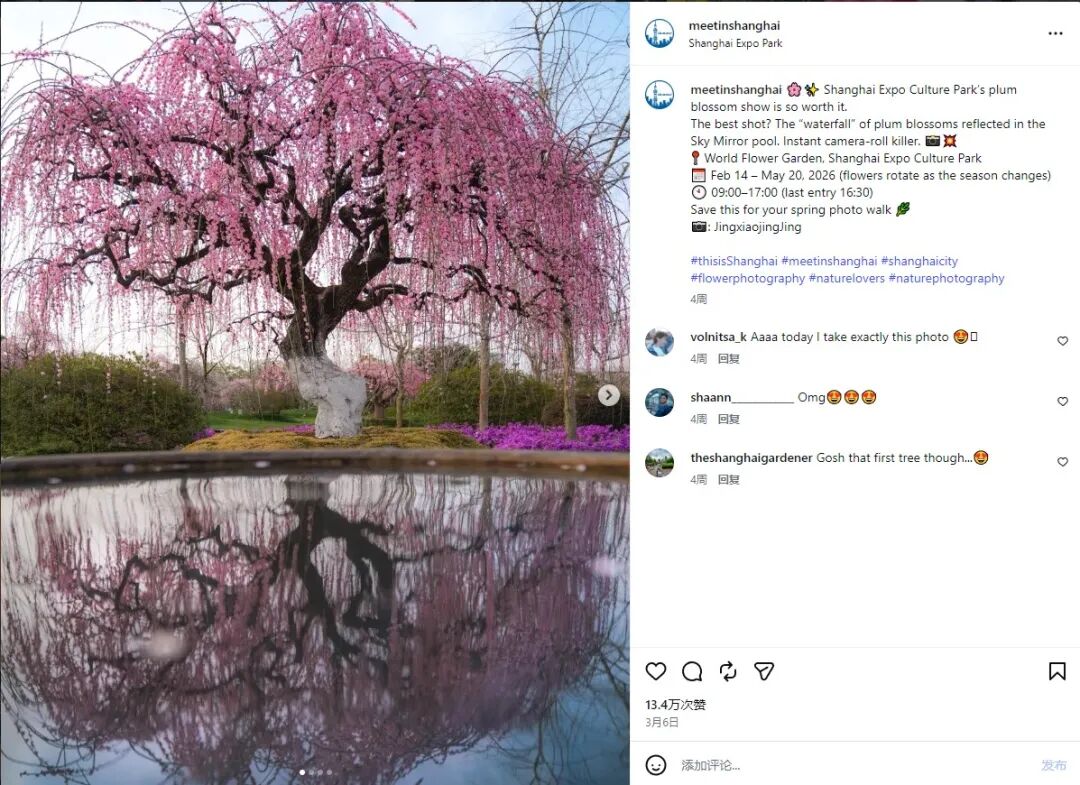 上海文旅照片墙账号截图 图片